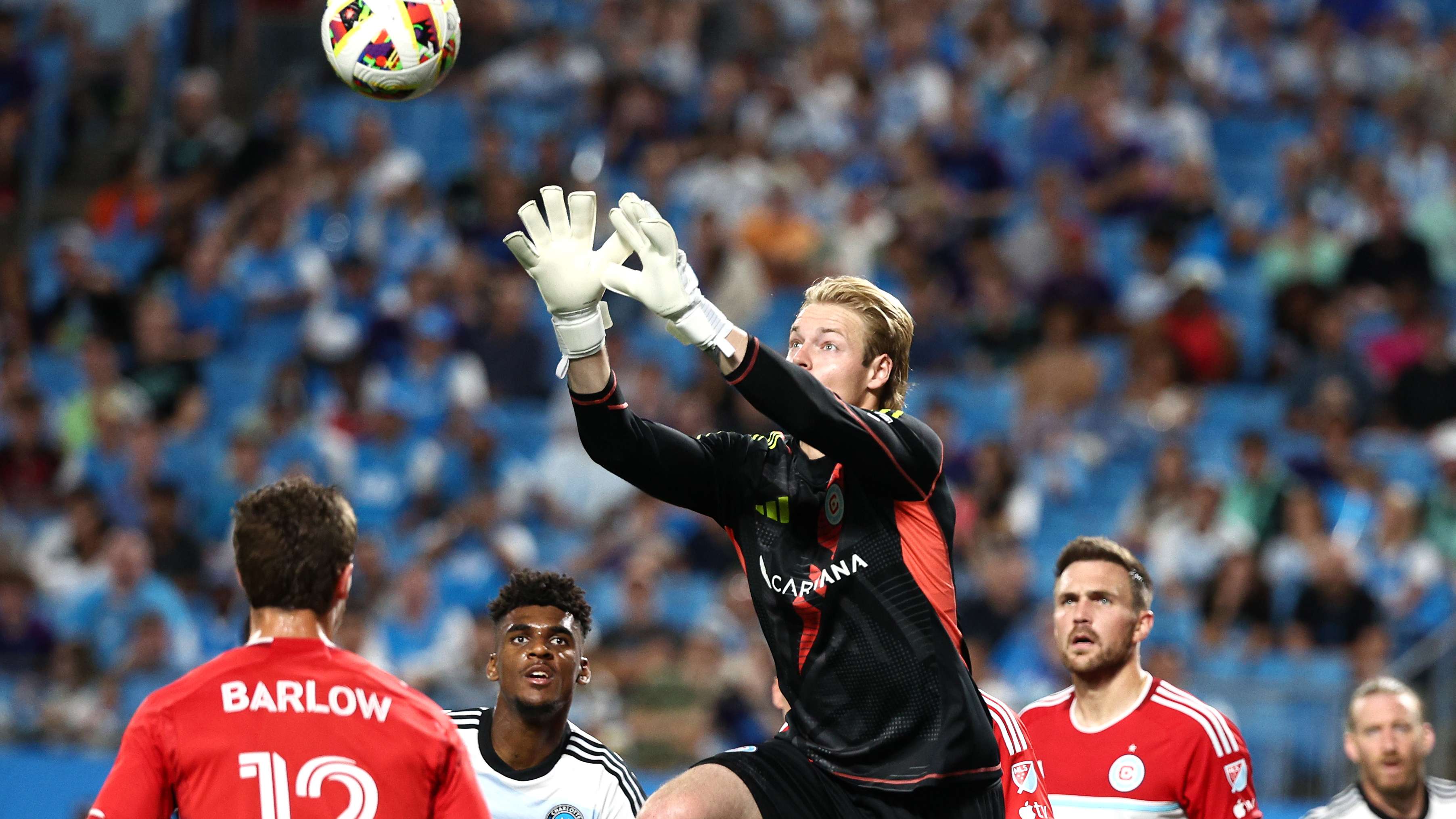 专业的具体 专业的具体